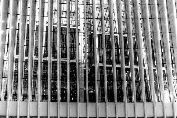 Leading Lines