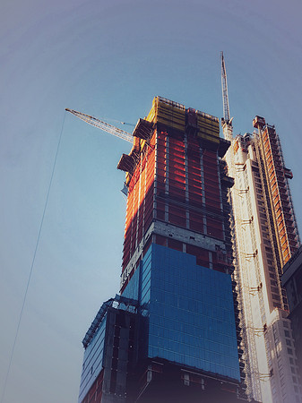 Cranes