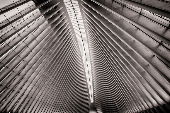 The Oculus
