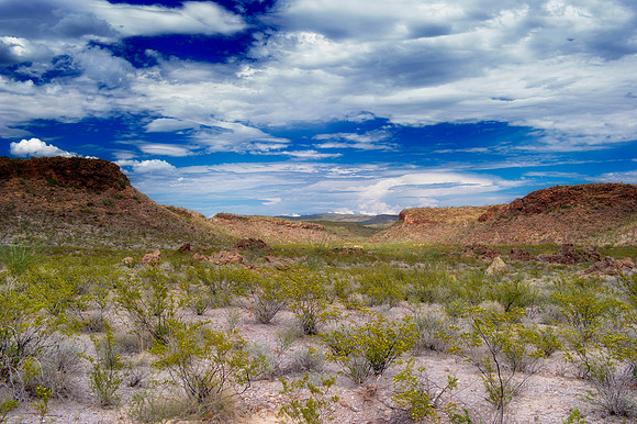 "Big Bend", "Big bend National Park", "Big Bend State Park", Texas, Mexico, USA, park, vacation, tourist, hiking, wildlife, bears, "mountain lion", deer, "mule deer", snake, rattlesnake, waterfall, fl