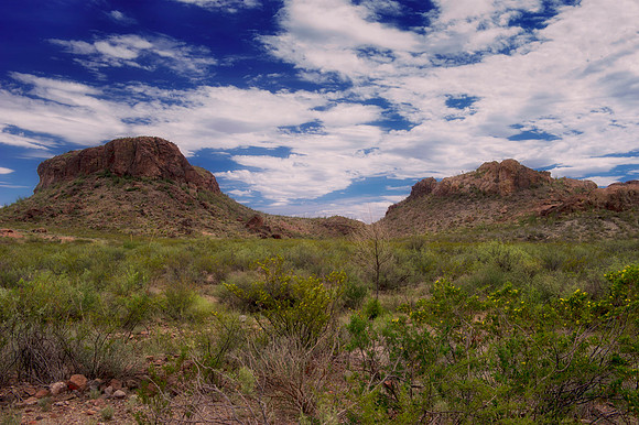 "Big Bend", "Big bend National Park", "Big Bend State Park", Texas, Mexico, USA, park, vacation, tourist, hiking, wildlife, bears, "mountain lion", deer, "mule deer", snake, rattlesnake, waterfall, fl