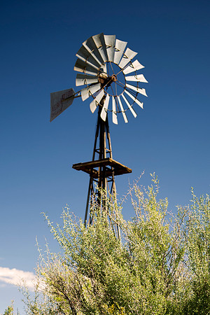 windmill, Aloe, Bertazzoni, "Big Bend", "Big Bend State Park", "Big bend National Park", Comanche, Indians, Mexico, Nikon, "Rio Bravo", Texas, USA, bears, cactus, canoeing, canyon, crows, deer, flower