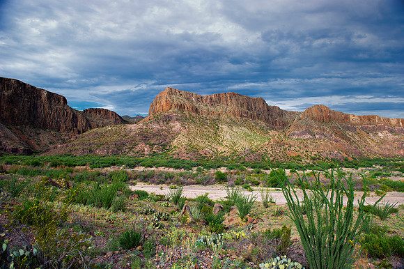 "Big Bend", "Big bend National Park", "Big Bend State Park", Texas, Mexico, USA, park, vacation, tourist, hiking, wildlife, bears, "mountain lion", deer, "mule deer", snake, rattlesnake, waterfall, fl