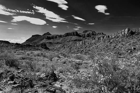 Aloe, Bertazzoni, "Big Bend", "Big Bend State Park", "Big bend National Park", Comanche, Indians, Mexico, Nikon, "Rio Bravo", Texas, USA, bears, cactus, canoeing, canyon, crows, deer, flowers, "ghost