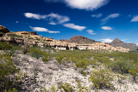 "Big Bend", "Big bend National Park", "Big Bend State Park", Texas, Mexico, USA, park, vacation, tourist, hiking, wildlife, bears, "mountain lion", deer, "mule deer", snake, rattlesnake, waterfall, fl