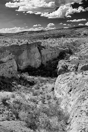 Aloe, Bertazzoni, "Big Bend", "Big Bend State Park", "Big bend National Park", Comanche, Indians, Mexico, Nikon, "Rio Bravo", Texas, USA, bears, "black & white", cactus, canoeing, canyon, crows, deer,