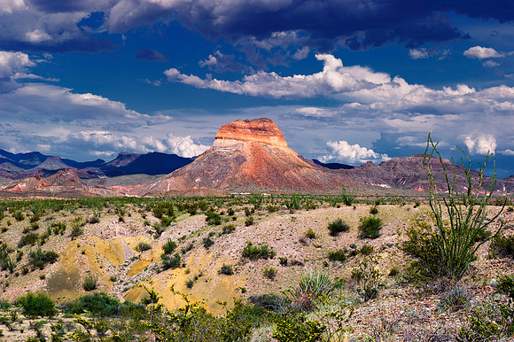 Aloe, Bertazzoni, "Big Bend", "Big Bend State Park", "Big bend National Park", Comanche, Indians, Mexico, Nikon, "Rio Bravo", Texas, USA, bears, cactus, canoeing, canyon, crows, deer, flowers, "ghost