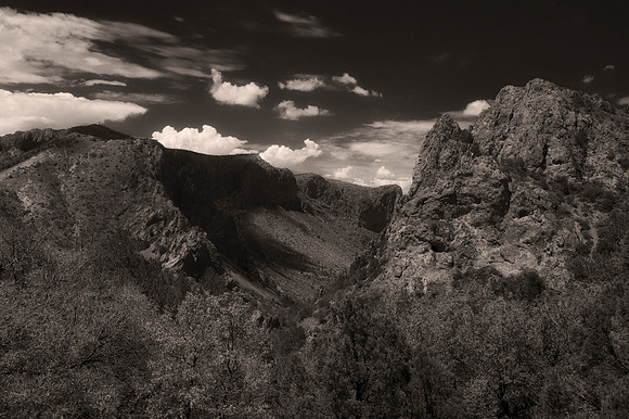 Aloe, Bertazzoni, "Big Bend", "Big Bend State Park", "Big bend National Park", Comanche, Indians, Mexico, Nikon, "Rio Bravo", Texas, USA, bears, cactus, canoeing, canyon, crows, deer, flowers, "ghost