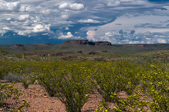 "Big Bend", "Big bend National Park", "Big Bend State Park", Texas, Mexico, USA, park, vacation, tourist, hiking, wildlife, bears, "mountain lion", deer, "mule deer", snake, rattlesnake, waterfall, fl