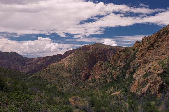 Aloe, Bertazzoni, "Big Bend", "Big Bend State Park", "Big bend National Park", Comanche, Indians, Mexico, Nikon, "Rio Bravo", Texas, USA, bears, cactus, canoeing, canyon, crows, deer, flowers, "ghost