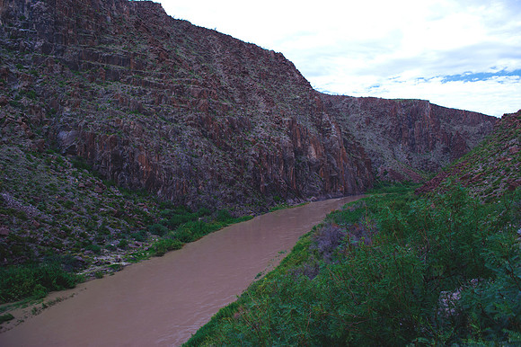 "Big Bend", "Big bend National Park", "Big Bend State Park", Texas, Mexico, USA, park, vacation, tourist, hiking, wildlife, bears, "mountain lion", deer, "mule deer", snake, rattlesnake, waterfall, fl