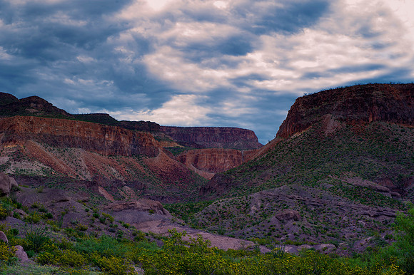 "Big Bend", "Big bend National Park", "Big Bend State Park", Texas, Mexico, USA, park, vacation, tourist, hiking, wildlife, bears, "mountain lion", deer, "mule deer", snake, rattlesnake, waterfall, fl