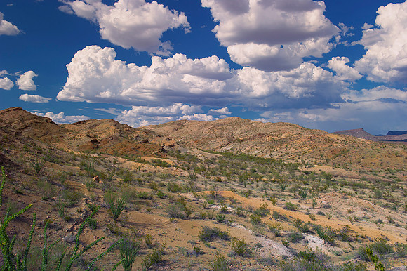 Aloe, Bertazzoni, "Big Bend", "Big Bend State Park", "Big bend National Park", Comanche, Indians, Mexico, Nikon, "Rio Bravo", Texas, USA, bears, cactus, canoeing, canyon, crows, deer, flowers, "ghost