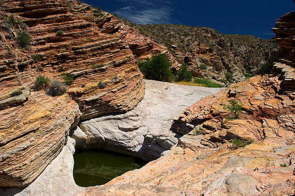 Aloe, Bertazzoni, "Big Bend", "Big Bend State Park", "Big bend National Park", Comanche, Indians, Mexico, Nikon, "Rio Bravo", Texas, USA, bears, cactus, canoeing, canyon, crows, deer, flowers, "ghost