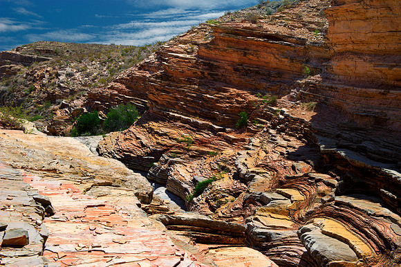 Aloe, Bertazzoni, "Big Bend", "Big Bend State Park", "Big bend National Park", Comanche, Indians, Mexico, Nikon, "Rio Bravo", Texas, USA, bears, cactus, canoeing, canyon, crows, deer, flowers, "ghost