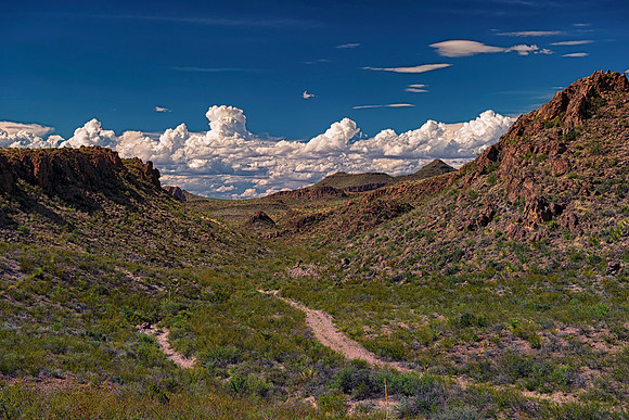"Big Bend", "Big bend National Park", "Big Bend State Park", Texas, Mexico, USA, park, vacation, tourist, hiking, wildlife, bears, "mountain lion", deer, "mule deer", snake, rattlesnake, waterfall, fl