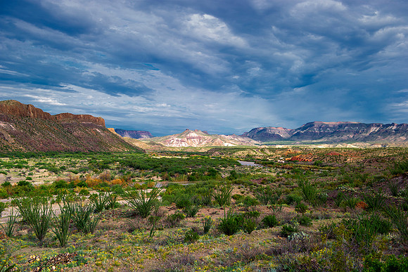 "Big Bend", "Big bend National Park", "Big Bend State Park", Texas, Mexico, USA, park, vacation, tourist, hiking, wildlife, bears, "mountain lion", deer, "mule deer", snake, rattlesnake, waterfall, fl