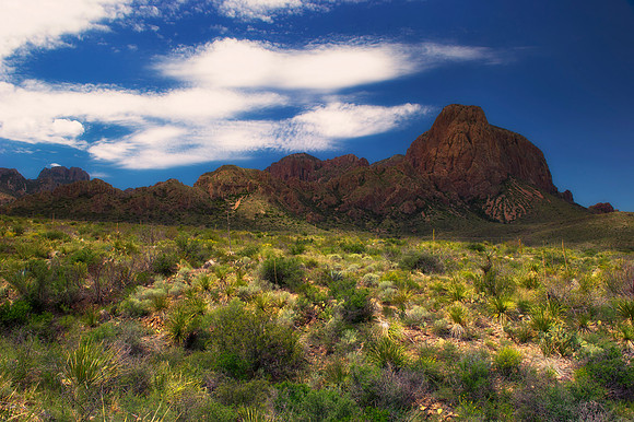 Aloe, Bertazzoni, "Big Bend", "Big Bend State Park", "Big bend National Park", Comanche, Indians, Mexico, Nikon, "Rio Bravo", Texas, USA, bears, cactus, canoeing, canyon, crows, deer, flowers, "ghost