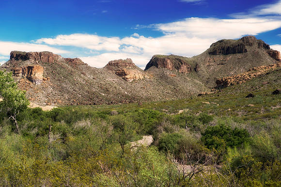 "Big Bend", "Big bend National Park", "Big Bend State Park", Texas, Mexico, USA, park, vacation, tourist, hiking, wildlife, bears, "mountain lion", deer, "mule deer", snake, rattlesnake, waterfall, fl