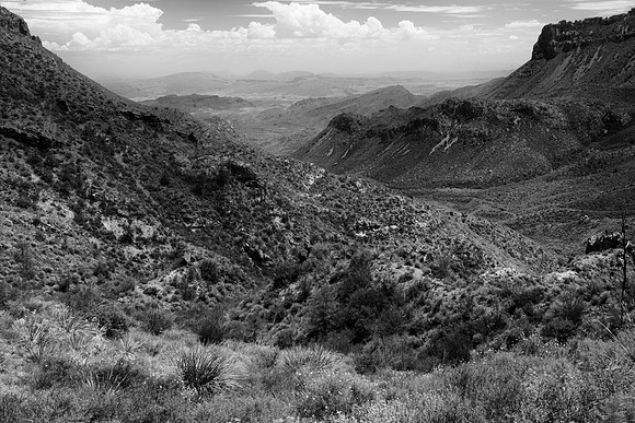 Aloe, Bertazzoni, "Big Bend", "Big Bend State Park", "Big bend National Park", Comanche, Indians, Mexico, Nikon, "Rio Bravo", Texas, USA, bears, cactus, canoeing, canyon, crows, deer, flowers, "ghost