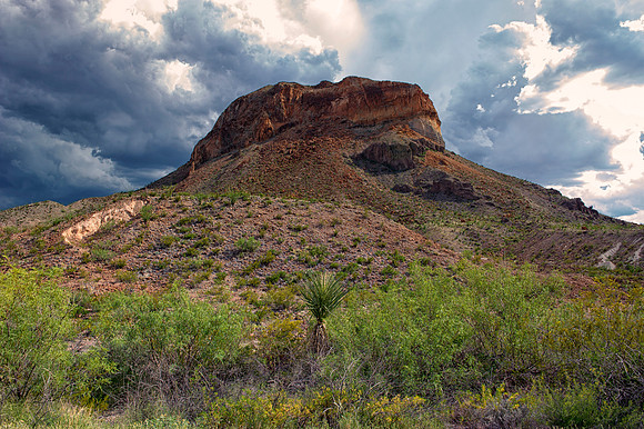 Aloe, Bertazzoni, "Big Bend", "Big Bend State Park", "Big bend National Park", Comanche, Indians, Mexico, Nikon, "Rio Bravo", Texas, USA, bears, cactus, canoeing, canyon, crows, deer, flowers, "ghost