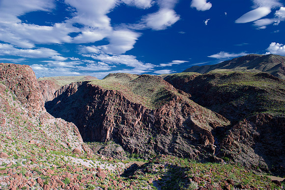 "Big Bend", "Big bend National Park", "Big Bend State Park", Texas, Mexico, USA, park, vacation, tourist, hiking, wildlife, bears, "mountain lion", deer, "mule deer", snake, rattlesnake, waterfall, fl