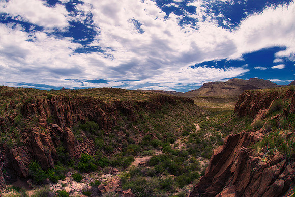 "Big Bend", "Big bend National Park", "Big Bend State Park", Texas, Mexico, USA, park, vacation, tourist, hiking, wildlife, bears, "mountain lion", deer, "mule deer", snake, rattlesnake, waterfall, fl