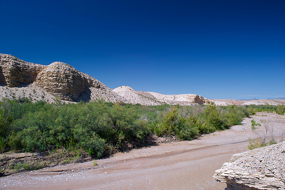 Aloe, Bertazzoni, "Big Bend", "Big Bend State Park", "Big bend National Park", Comanche, Indians, Mexico, Nikon, "Rio Bravo", Texas, USA, bears, cactus, canoeing, canyon, crows, deer, flowers, "ghost