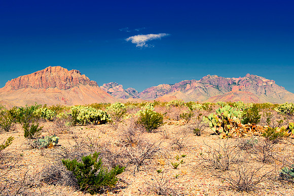 Aloe, Bertazzoni, "Big Bend", "Big Bend State Park", "Big bend National Park", Comanche, Indians, Mexico, Nikon, "Rio Bravo", Texas, USA, bears, cactus, canoeing, canyon, crows, deer, flowers, "ghost