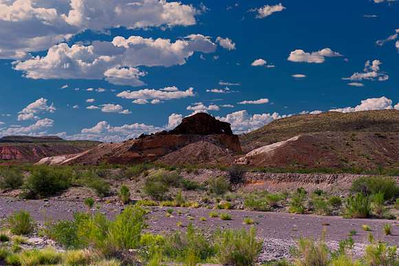 Aloe, Bertazzoni, "Big Bend", "Big Bend State Park", "Big bend National Park", Comanche, Indians, Mexico, Nikon, "Rio Bravo", Texas, USA, bears, cactus, canoeing, canyon, crows, deer, flowers, "ghost