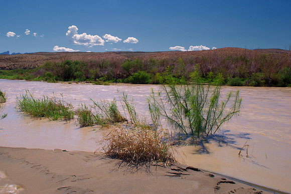 Aloe, Bertazzoni, "Big Bend", "Big Bend State Park", "Big bend National Park", Comanche, Indians, Mexico, Nikon, "Rio Bravo", Texas, USA, bears, cactus, canoeing, canyon, crows, deer, flowers, "ghost
