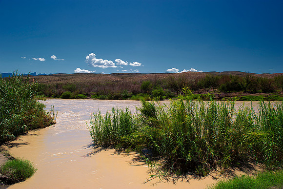 Aloe, Bertazzoni, "Big Bend", "Big Bend State Park", "Big bend National Park", Comanche, Indians, Mexico, Nikon, "Rio Bravo", Texas, USA, bears, cactus, canoeing, canyon, crows, deer, flowers, "ghost