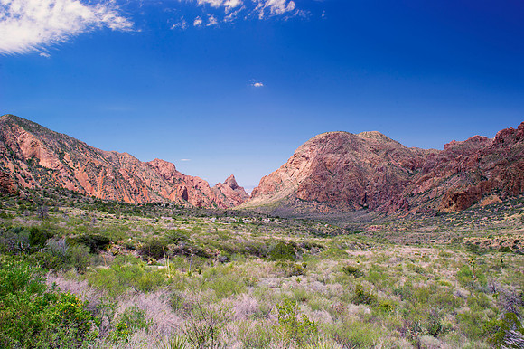 Aloe, Bertazzoni, "Big Bend", "Big Bend State Park", "Big bend National Park", Comanche, Indians, Mexico, Nikon, "Rio Bravo", Texas, USA, bears, cactus, canoeing, canyon, crows, deer, flowers, "ghost