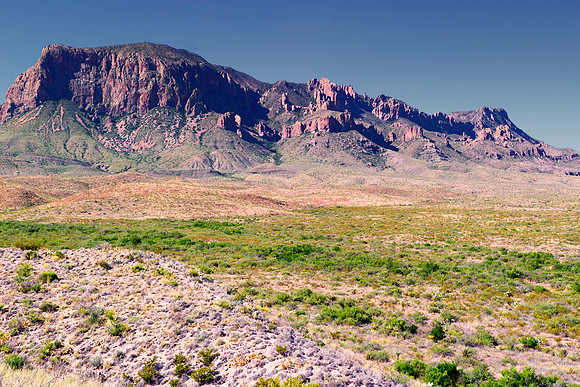 Aloe, Bertazzoni, "Big Bend", "Big Bend State Park", "Big bend National Park", Comanche, Indians, Mexico, Nikon, "Rio Bravo", Texas, USA, bears, cactus, canoeing, canyon, crows, deer, flowers, "ghost