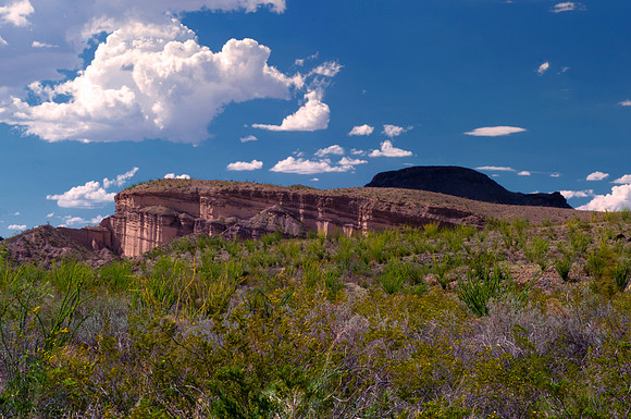 "desert vegetation", Aloe, Bertazzoni, "Big Bend", "Big Bend State Park", "Big bend National Park", Comanche, Indians, Mexico, Nikon, "Rio Bravo", Texas, USA, bears, cactus, canoeing, canyon, crows, d