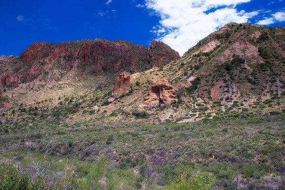 Aloe, Bertazzoni, "Big Bend", "Big Bend State Park", "Big bend National Park", Comanche, Indians, Mexico, Nikon, "Rio Bravo", Texas, USA, bears, cactus, canoeing, canyon, crows, deer, flowers, "ghost