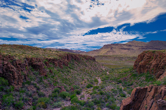 "Big Bend", "Big bend National Park", "Big Bend State Park", Texas, Mexico, USA, park, vacation, tourist, hiking, wildlife, bears, "mountain lion", deer, "mule deer", snake, rattlesnake, waterfall, fl