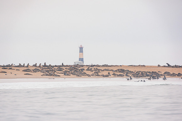 Seals