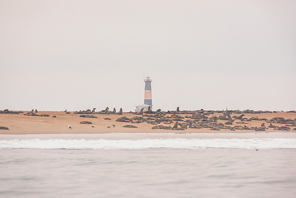 Seals
