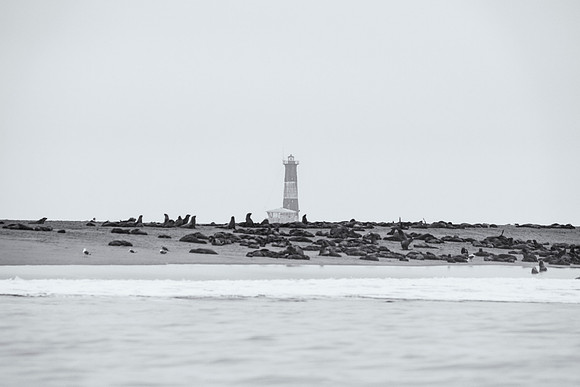 Seals