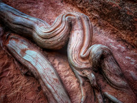 Twisted Log