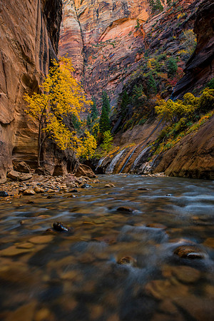 The Narrows