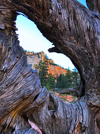 Natural Window