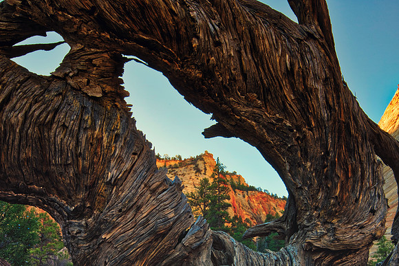 Natural Frame