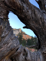 Natural Window