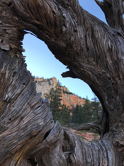 Natural Window