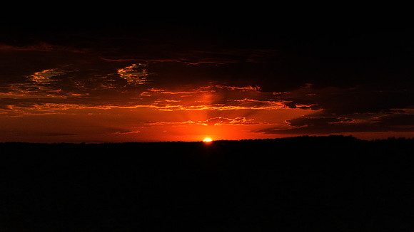 Kgalagadi Sunset