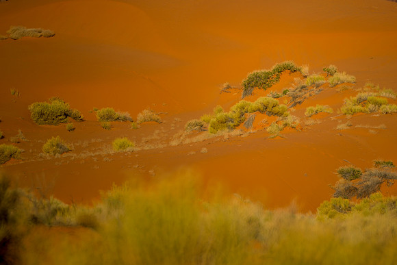 Arizona, Hollywood, bertazzoni, desert, grass, john Wayne, landscape, "monument valley", movies, nature, sand, scenic, sun, sunrise, western, "marco bertazzoni", rocks, USA, "New Mexico",