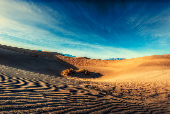 Mesquite Dunes