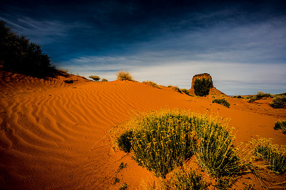 waves, Arizona, Hollywood, bertazzoni, desert, grass, john Wayne, landscape, "monument valley", movies, nature, sand, scenic, sun, sunrise, western, "marco bertazzoni", rocks, USA, "New Mexico",
